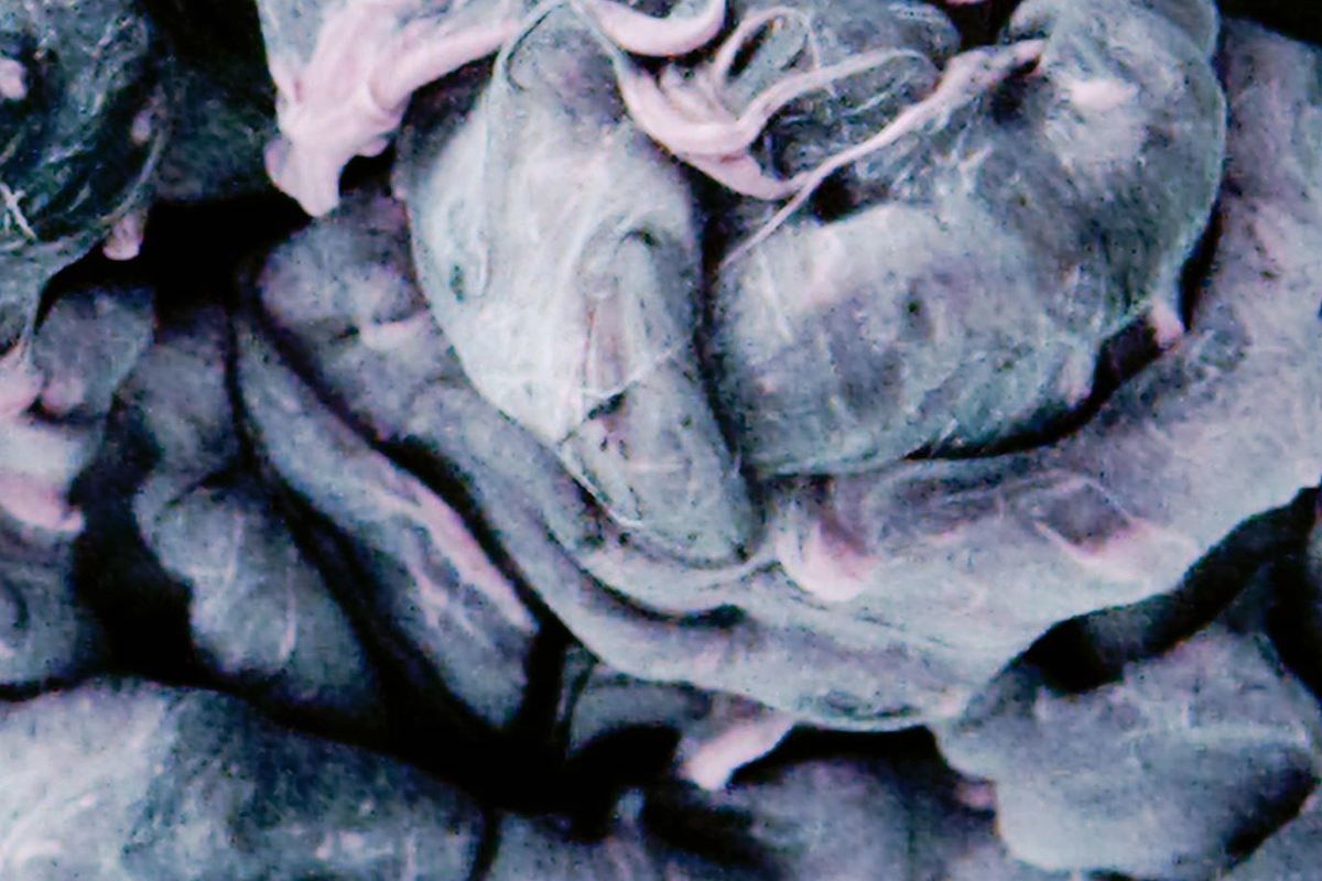 Anise Ice range detail
